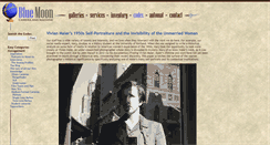 Desktop Screenshot of codex.bluemooncamera.com